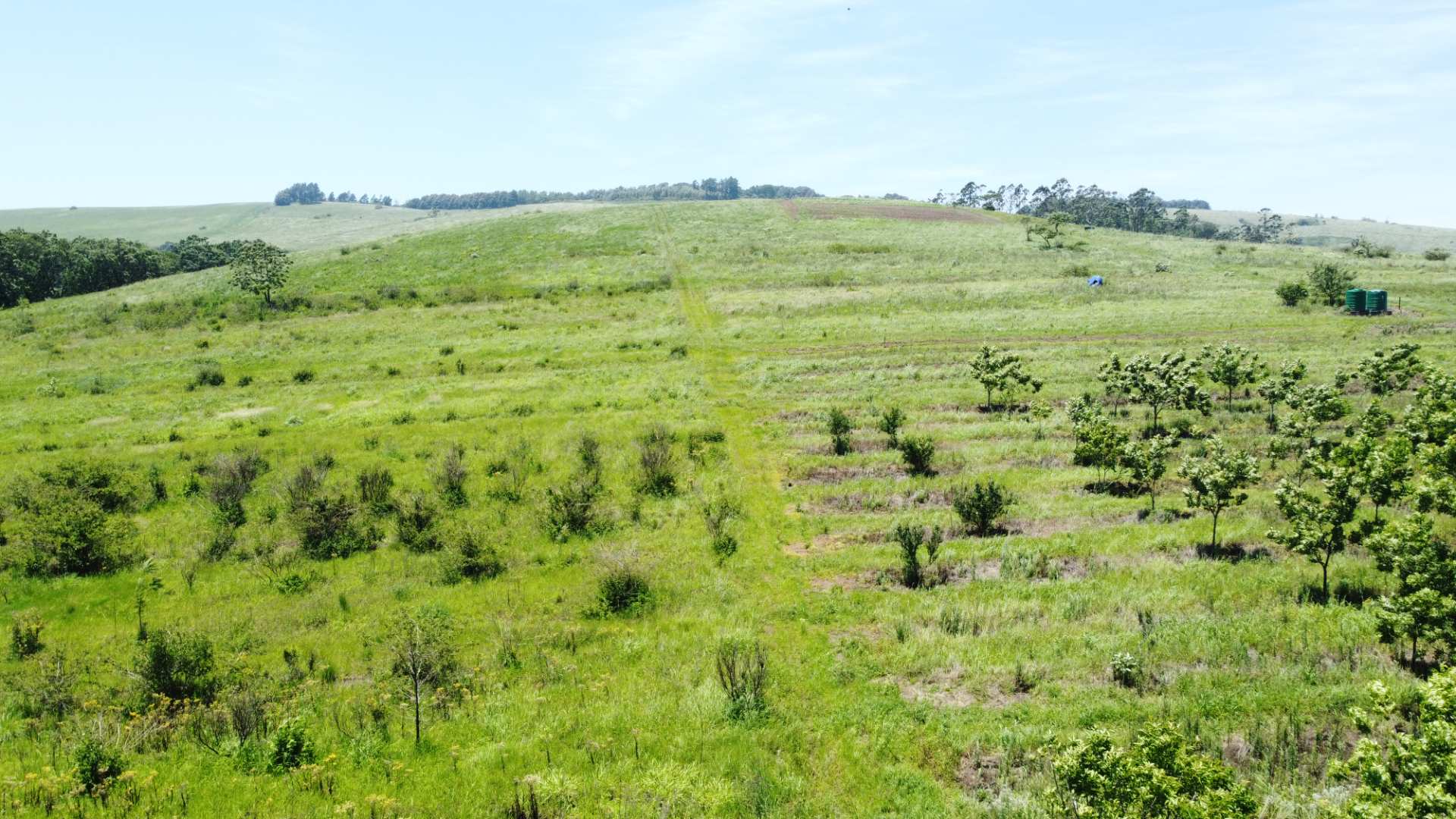 Vacant land / plots for sale in Cato Ridge Cato Ridge Property