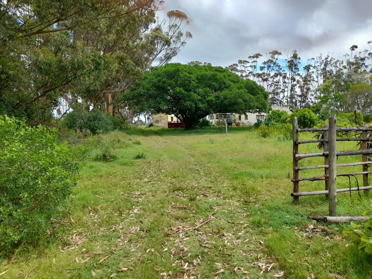Farms for sale in Grahamstown Grahamstown Property