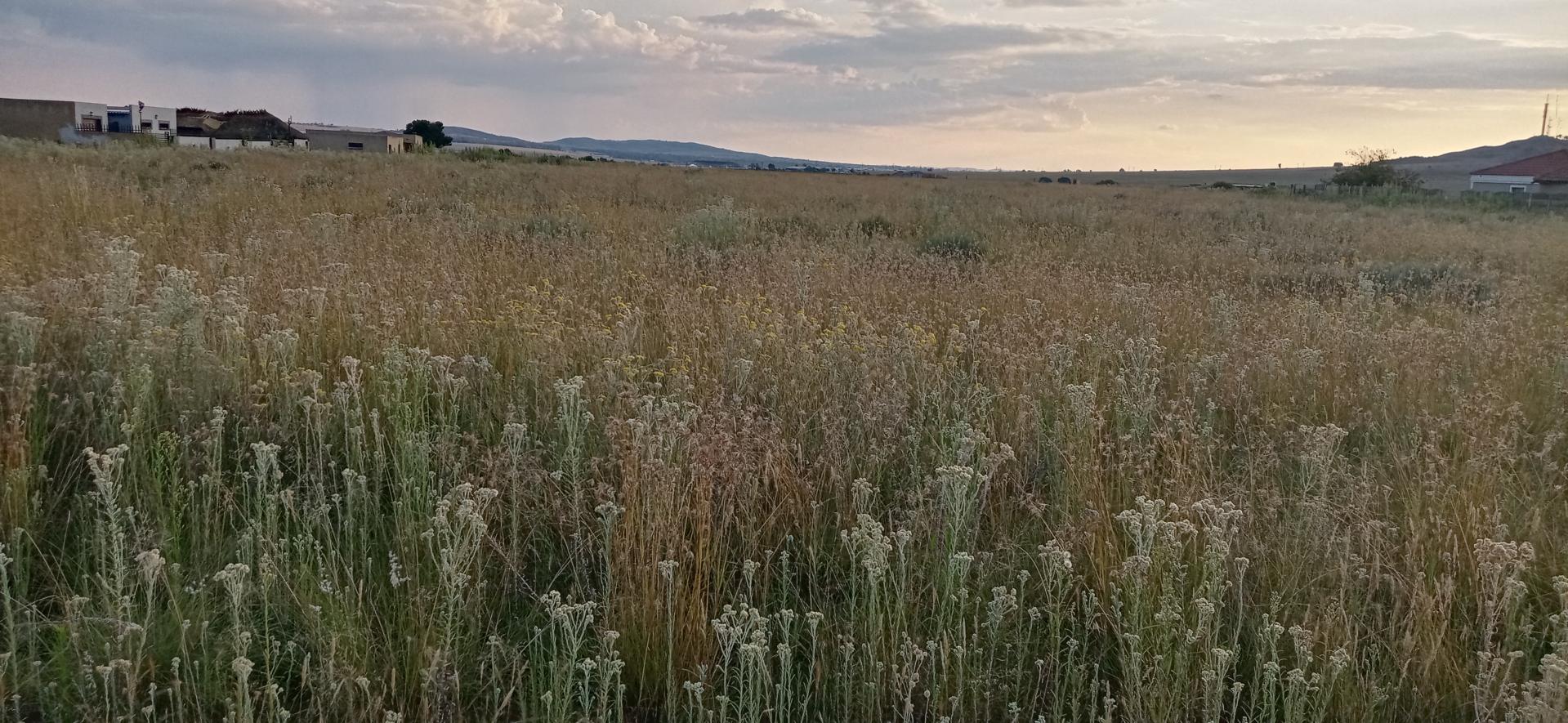 Vacant land / plot for sale in Jameson Park P24113791046