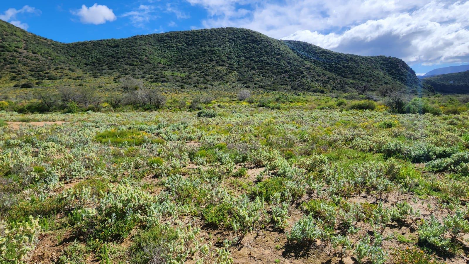 Farm for sale in Oudtshoorn Rural P24113800613
