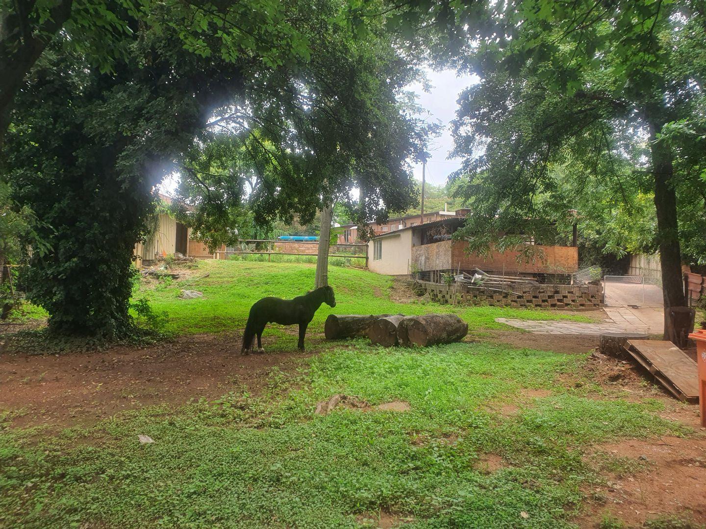 3 Bedroom House for sale in Valhalla P24113802078