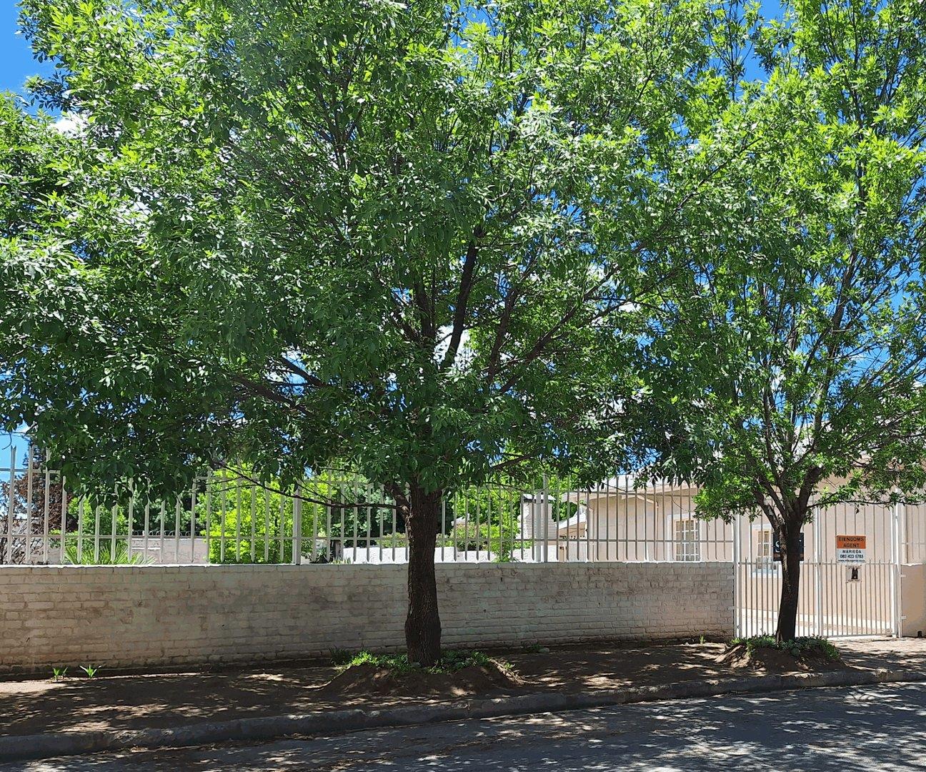 Vacant land / plots for sale in Middelburg, Eastern Cape Middelburg