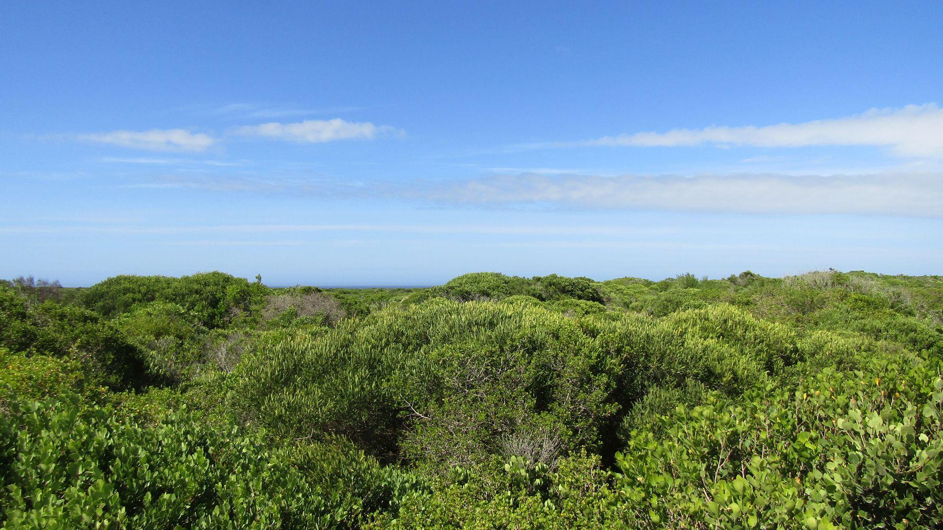 Vacant land / plot for sale in Birkenhead 29 Van Bloemenstein Road P24113809360