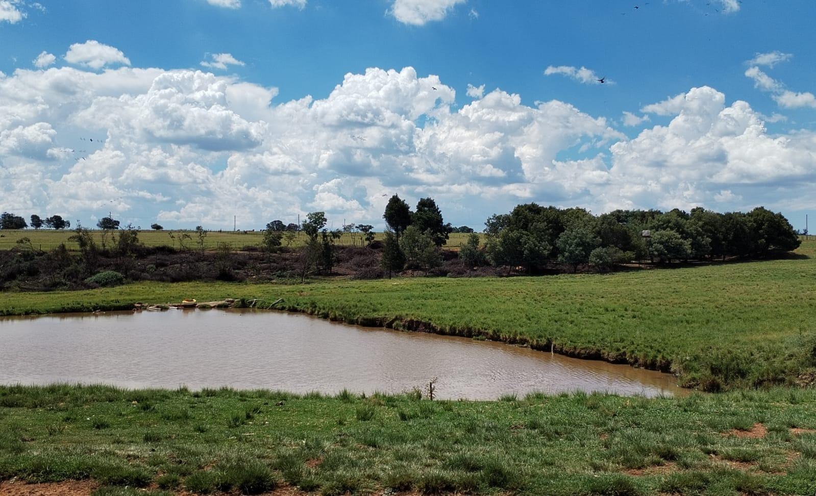 Farm for sale in Randfontein Rural Rf1021 Randfontein Area P24