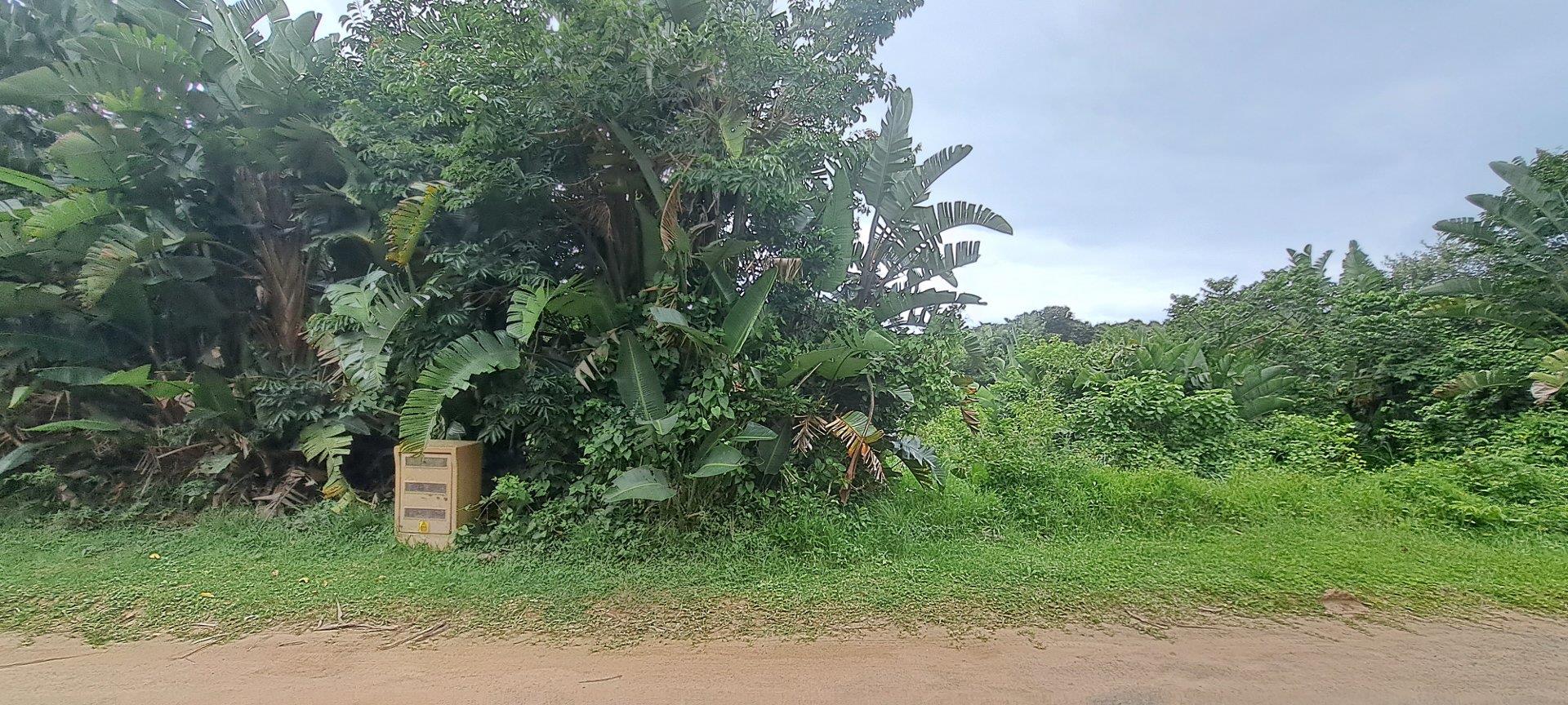 Kzn South Coast Property Vacant land / plot for sale in Kzn South