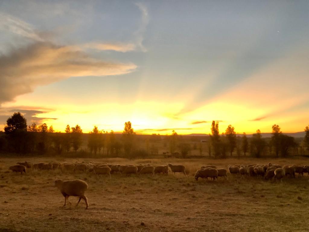 Farms for sale in Winterton Winterton Property