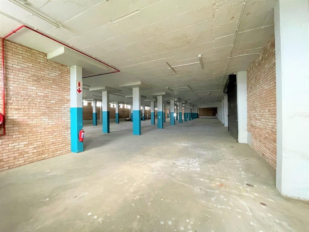 Springfield, Durban Property Property and houses to rent in