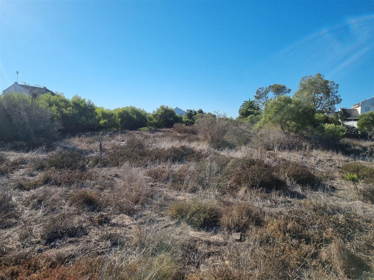 Vacant land / plot for sale in Britannia Bay 19 Geelblombos P24111633133