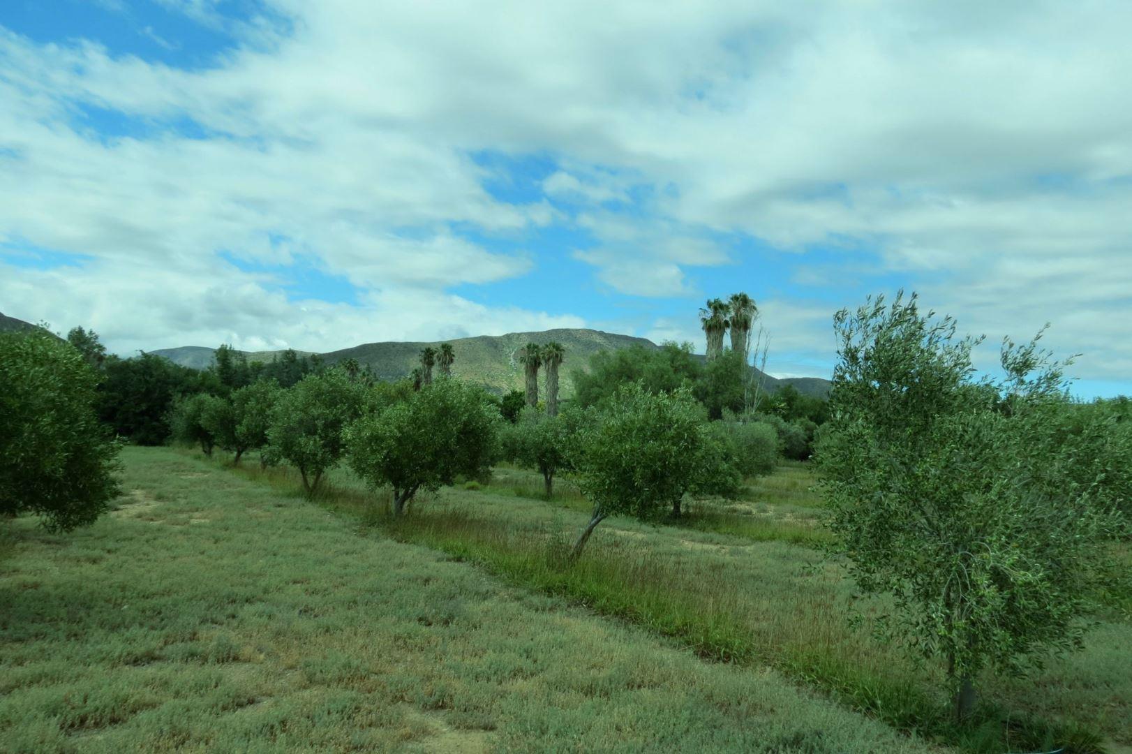 Property and houses for sale in Prince Albert Prince Albert Property