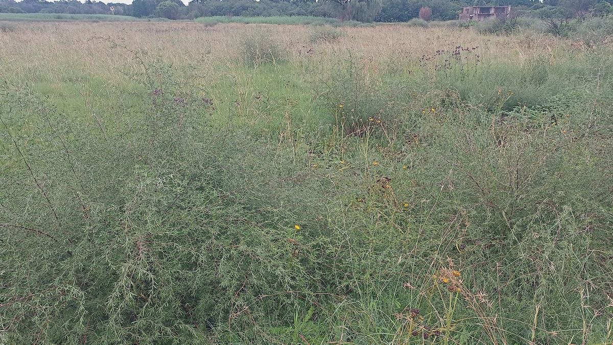 Vacant land / plot for sale in Henley On Klip P24113839886