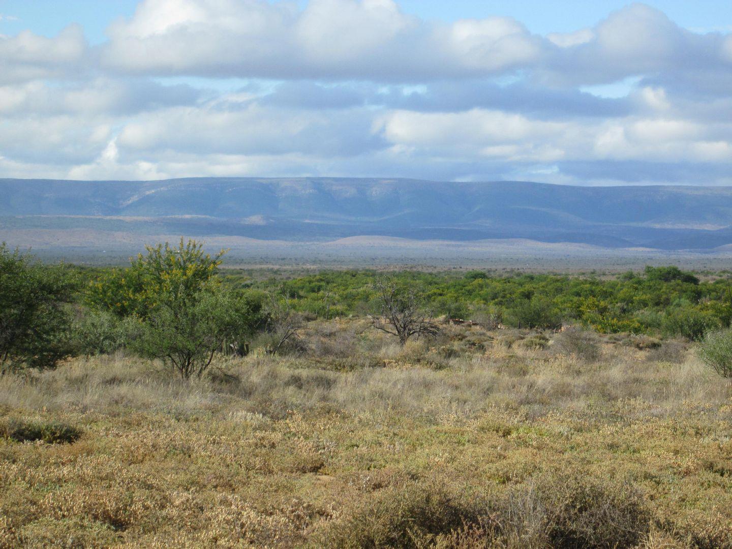 Farms for sale in Jansenville Jansenville Property