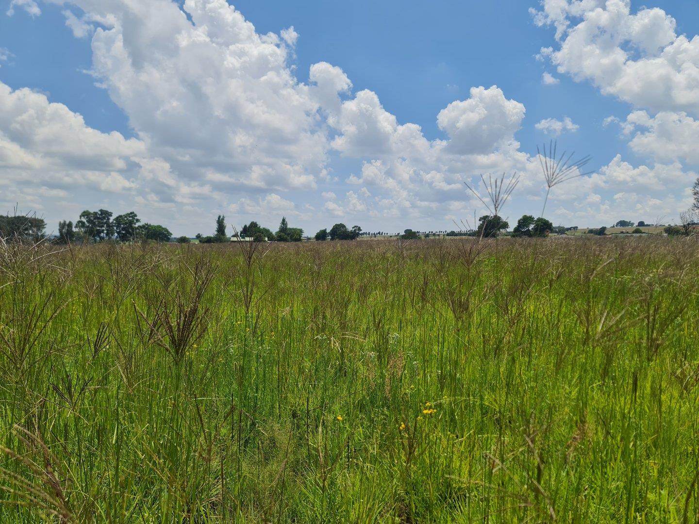 Vacant land / plots for sale in Randfontein Randfontein Property