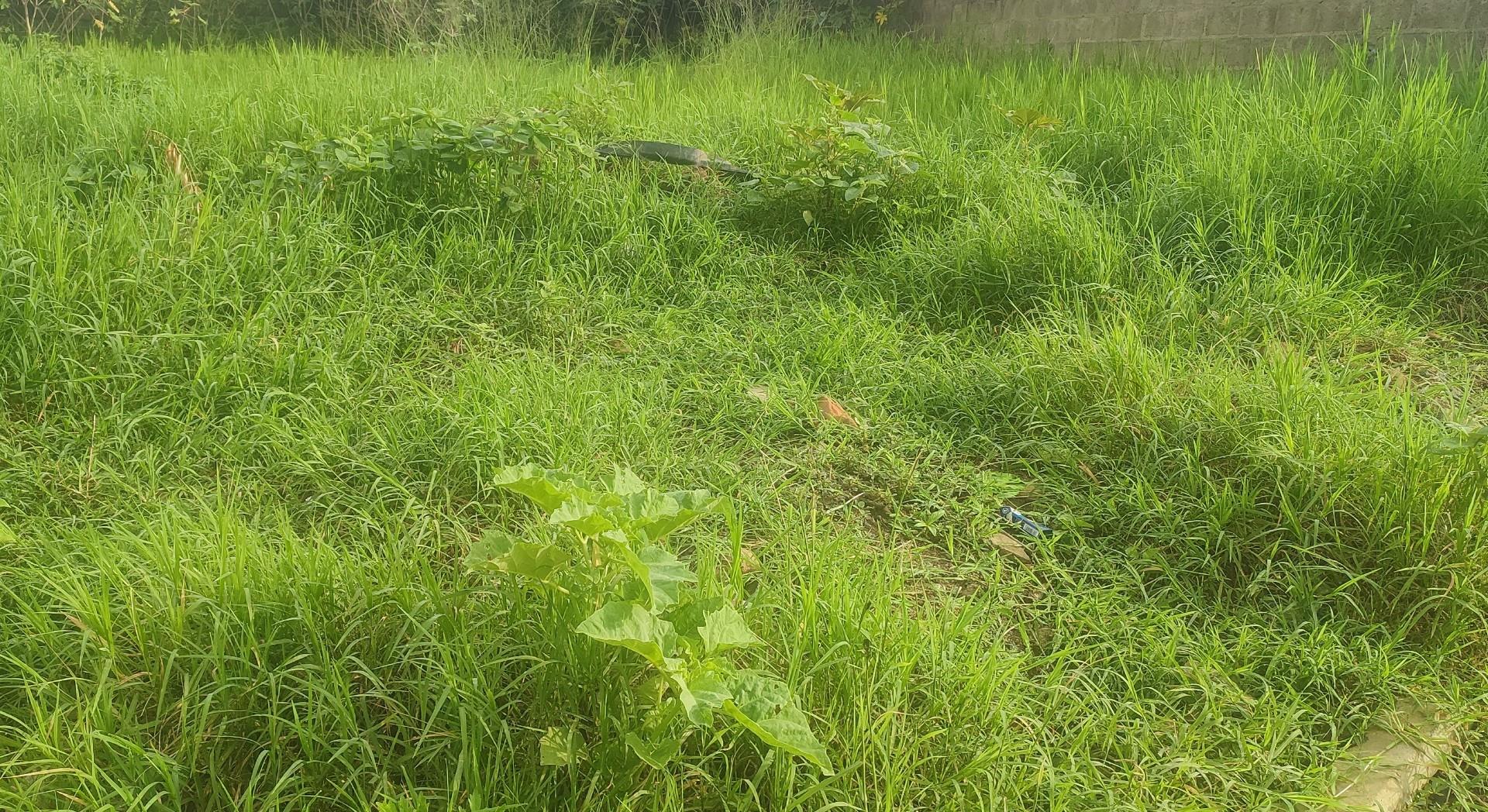 Vacant land / plots for sale in Barberton Barberton Property