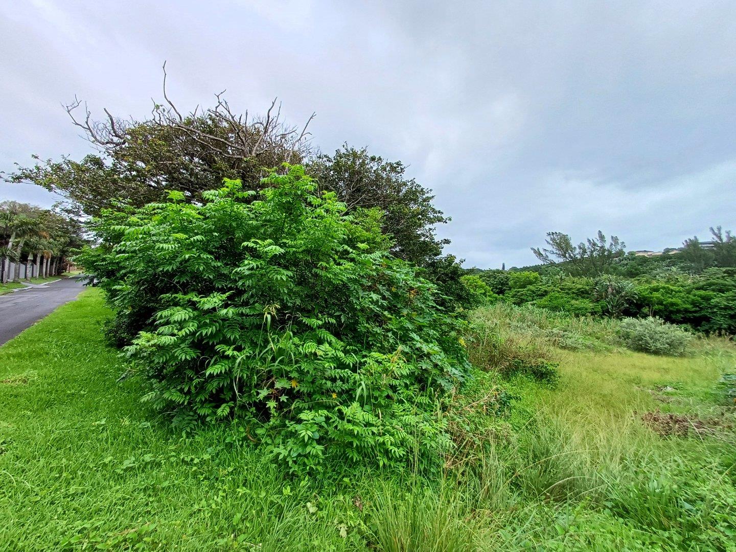 Vacant land / plot for sale in Ramsgate P24113851309