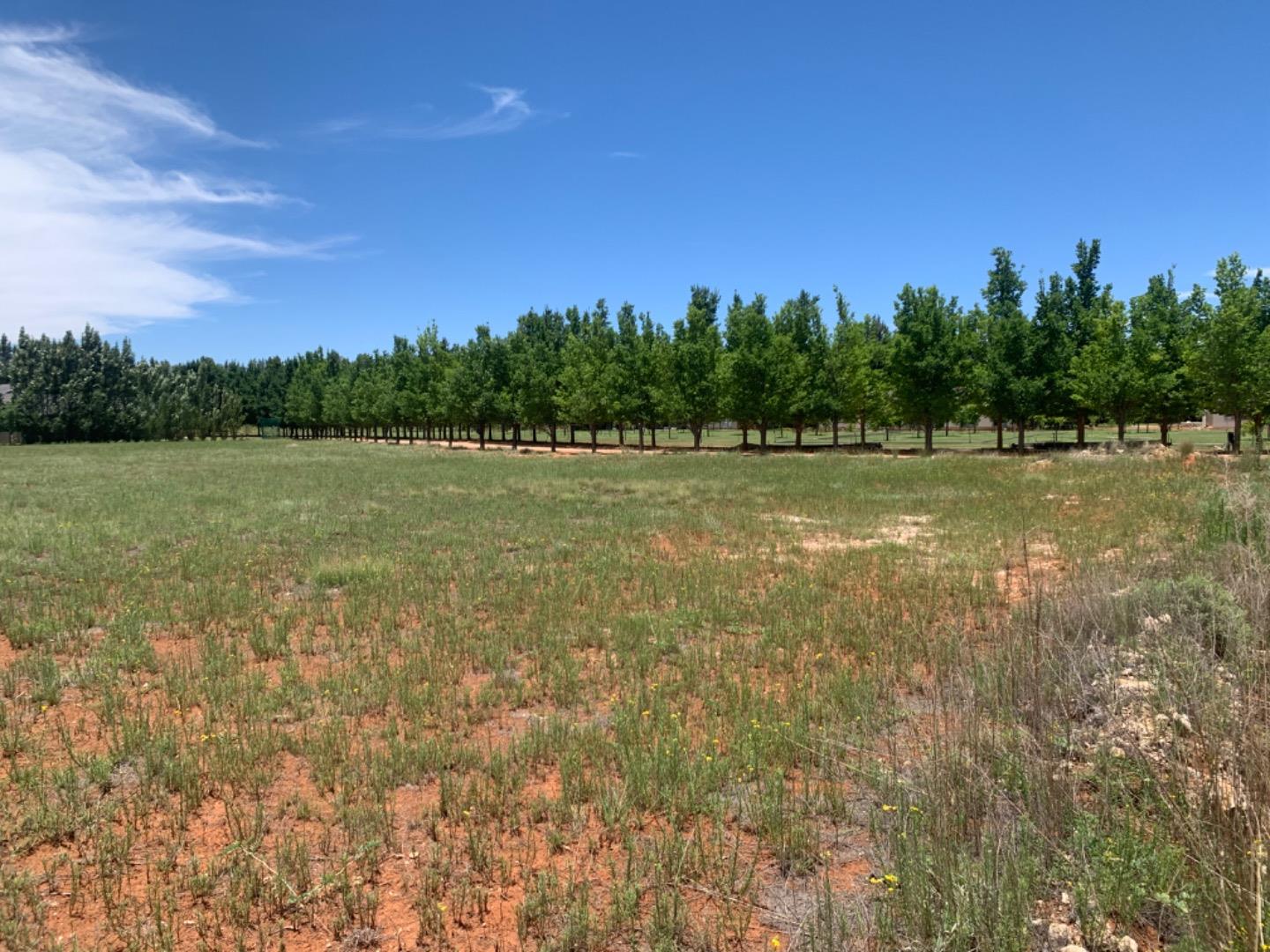 Magersfontein Memorial Golf Estate Property Property and houses for