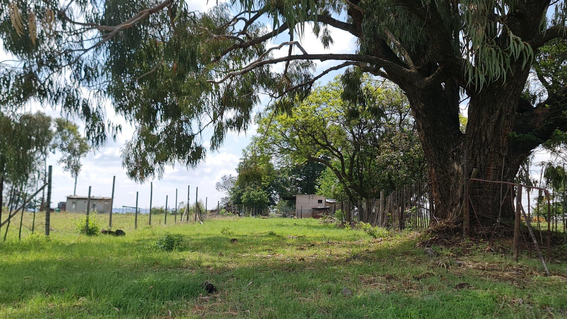 Farm for sale in Tarlton 56 Hillside P24113861266