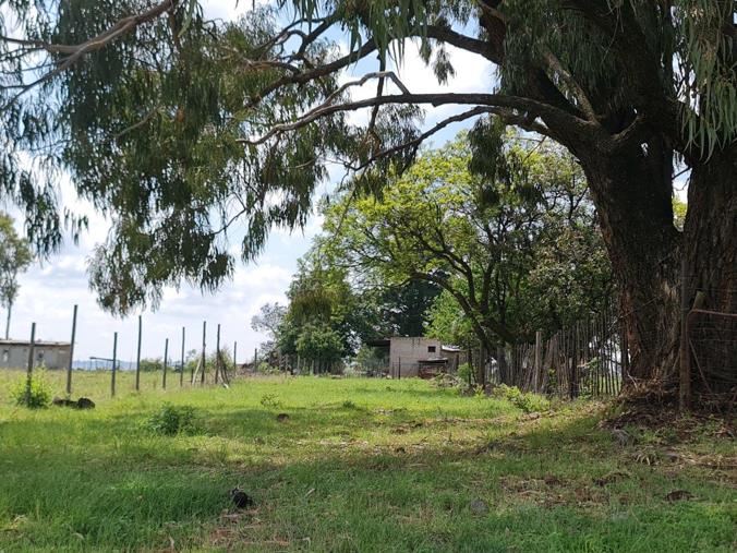 Farm for Sale in Tarlton