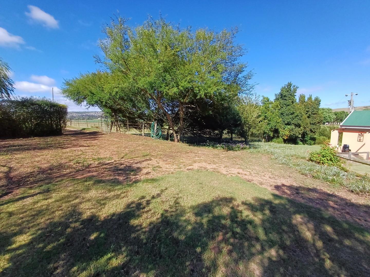Farm for sale in Riversdale P24113867299