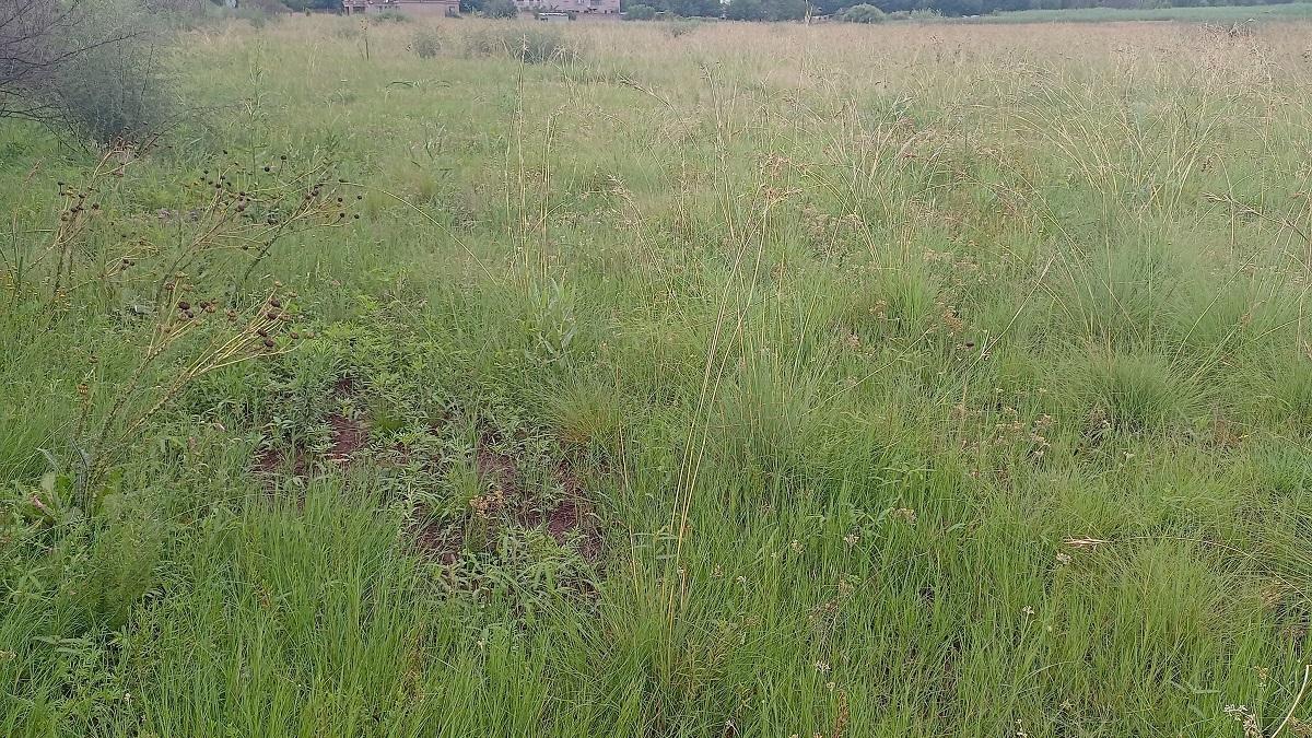 Vacant land / plot for sale in Henley On Klip P24113868246