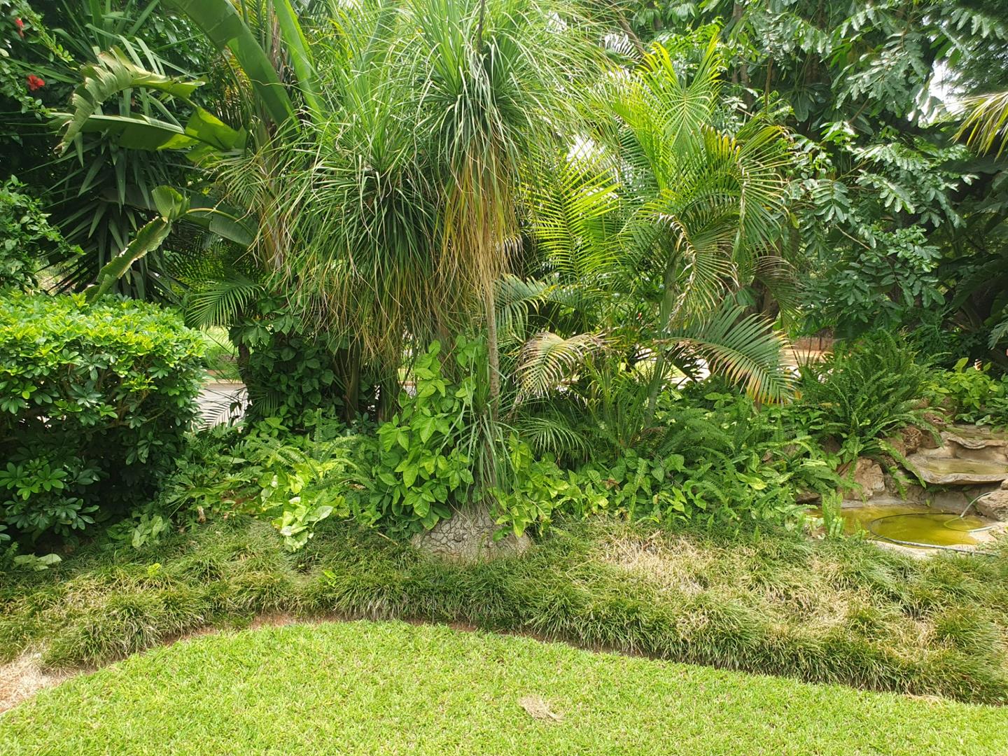 4 Bedroom House for sale in Marble Hall P24113869097