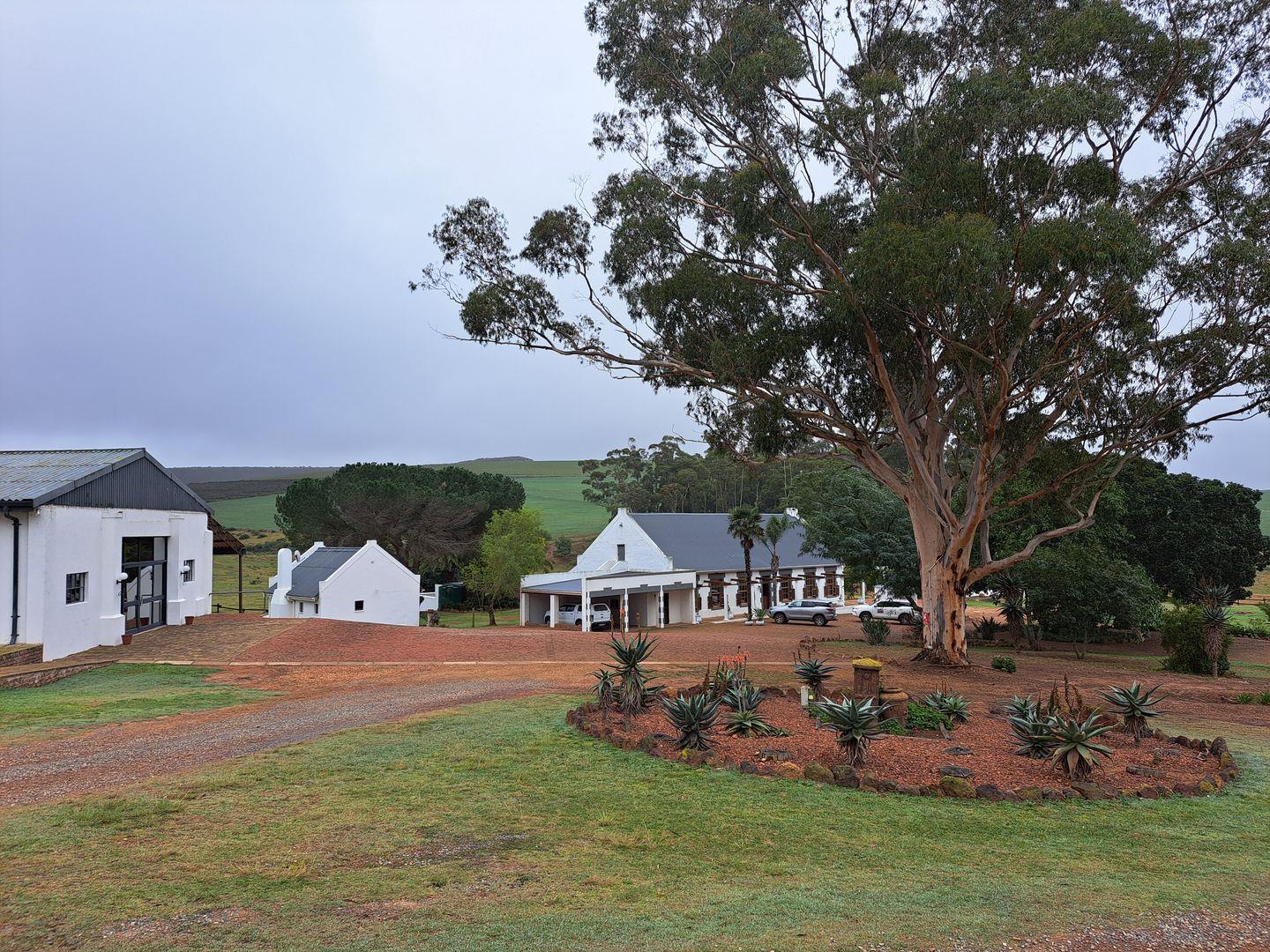 Farm for sale in Riversdale Rural P24113873145