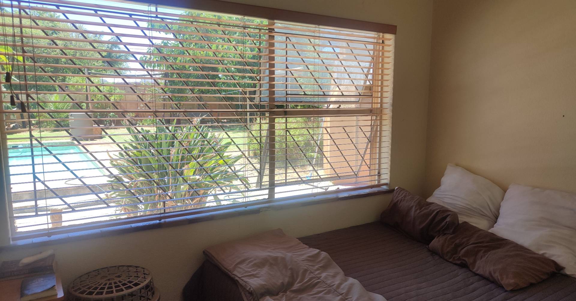 1 Bedroom House to rent in Soneike 5 Langenhoven St P24109790395