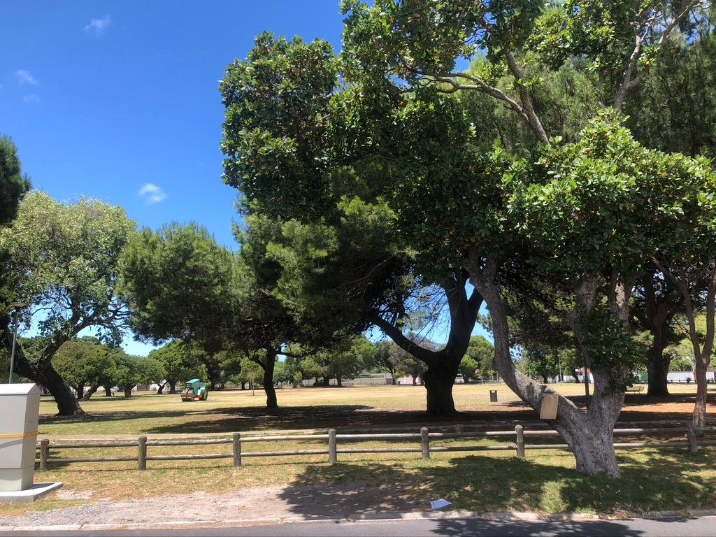 Plumstead Property Property and houses to rent in Plumstead