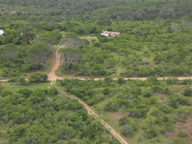 Farm for Sale in Bathurst Rural