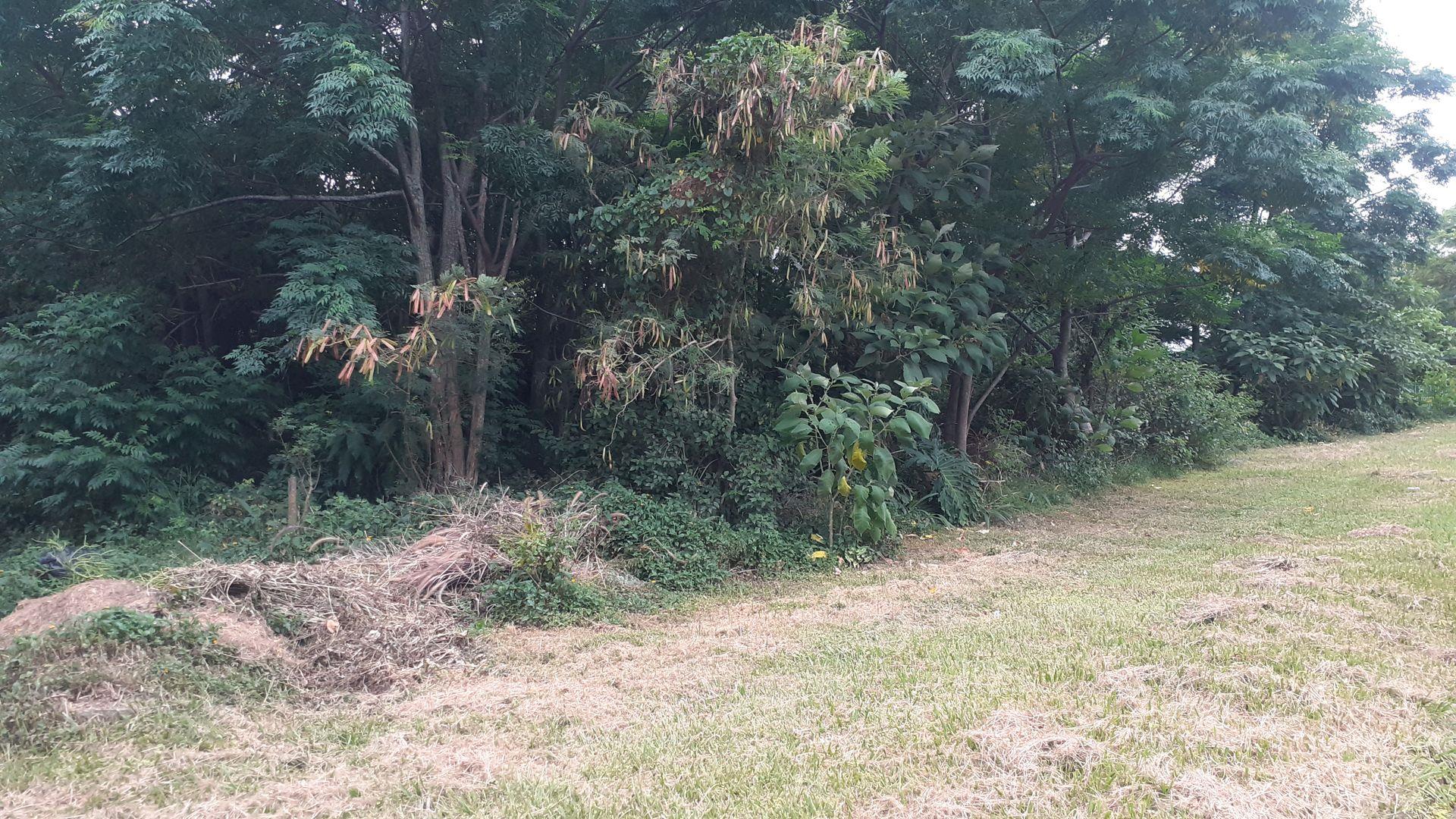 Vacant land / plot for sale in Amanzimtoti P24113884581