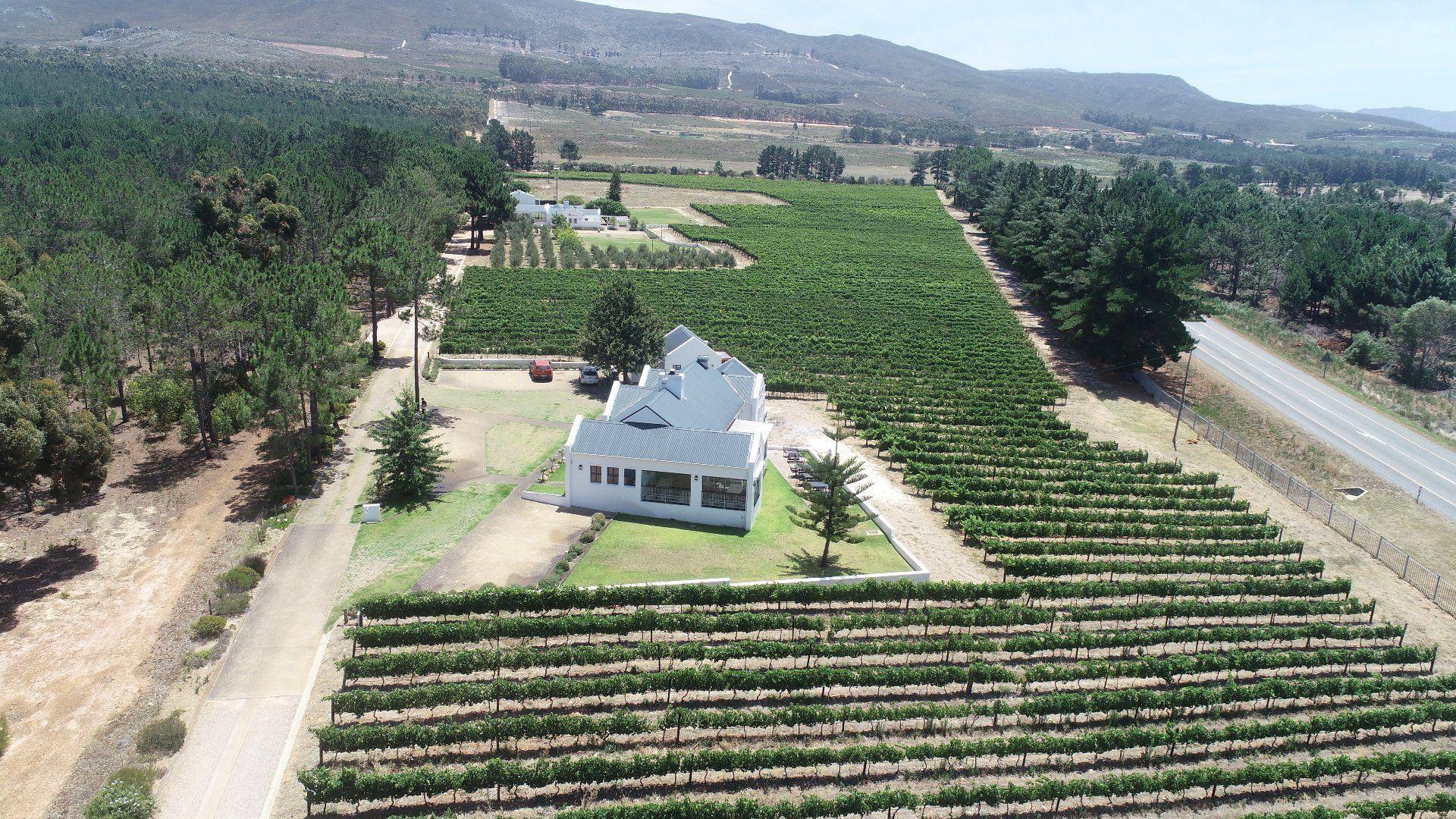 Hermanus Rural Property Property and houses for sale in Hermanus