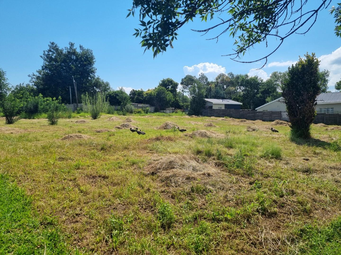 Vacant land / plots for sale in Harrismith Harrismith Property