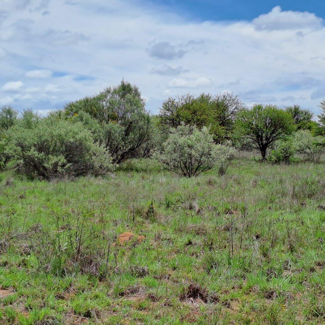 Farms for sale in Schweizer Reneke Schweizer Reneke Property