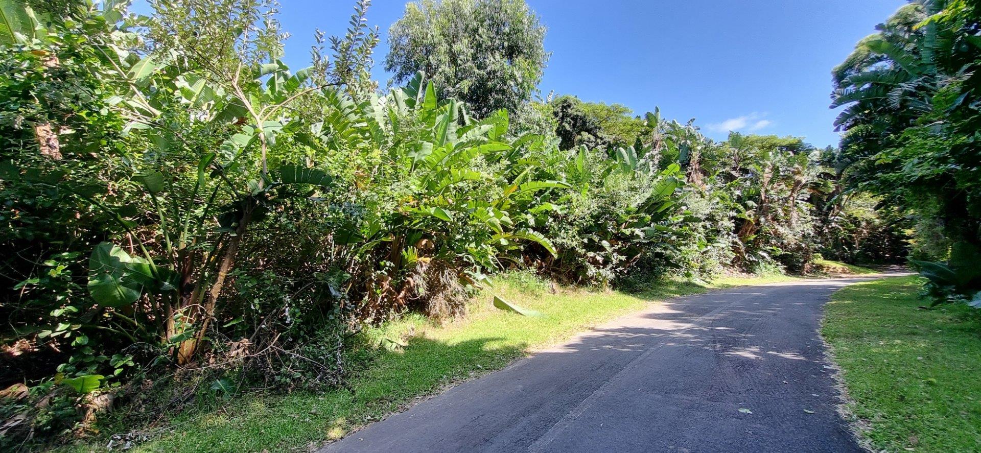 Kzn South Coast Property Vacant land / plot for sale in Kzn South