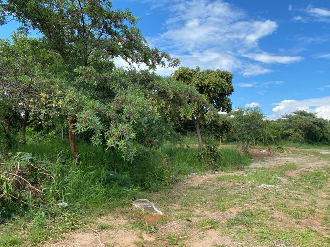 Vacant Land / Plot for Sale in Waterfalls