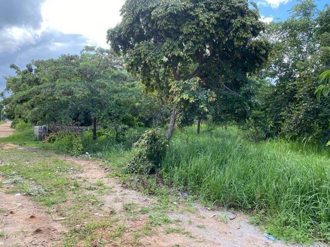 Vacant Land / Plot for Sale in Waterfalls
