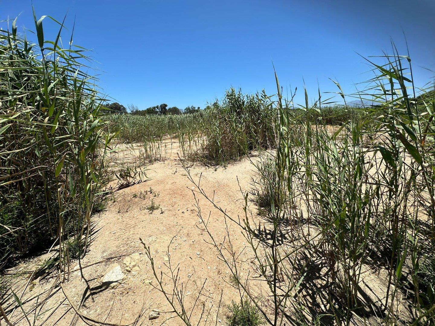 Vacant land / plot for sale in Klein Brak Rivier P24113912688