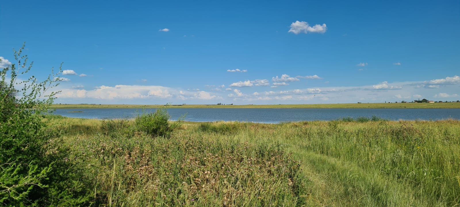 Property and houses for sale in Koppies Koppies Property Property24