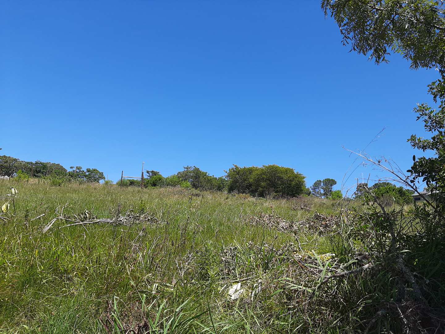 Vacant land / plot for sale in Alexandria P24113914121