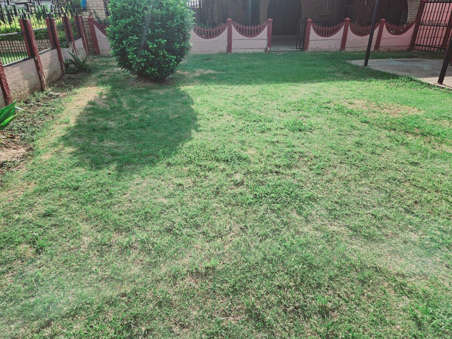 2 Bedroom House for sale in Acaciaville P24113918763