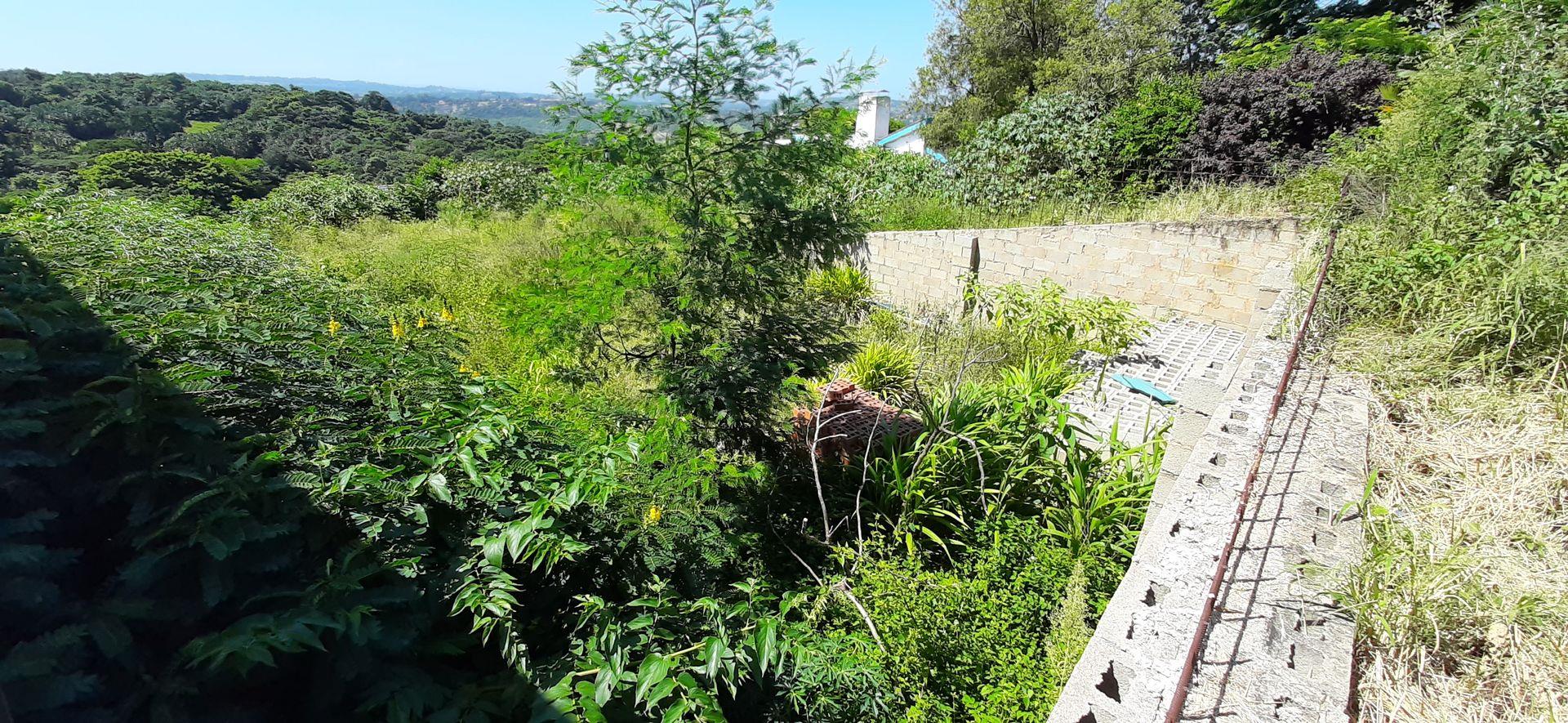 Vacant land / plot for sale in Yellowwood Park P24113920846