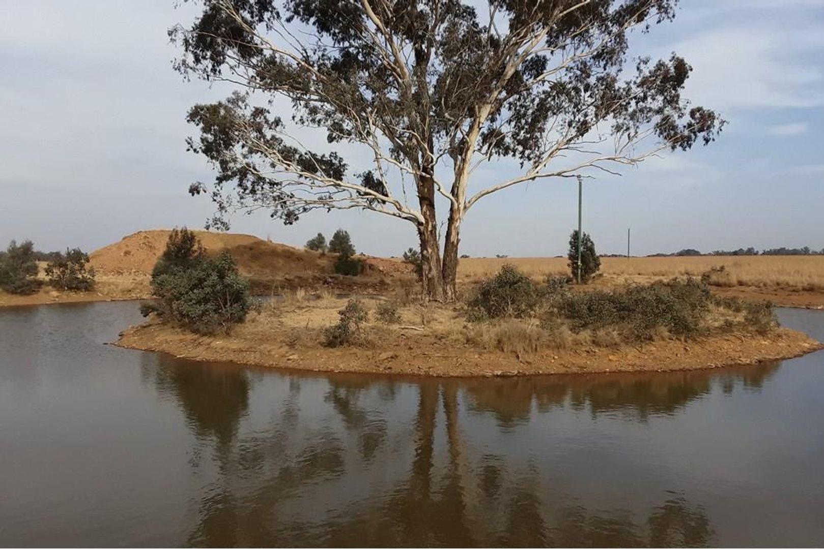 Walker Fruit Farms Property Property and houses for sale in Walker