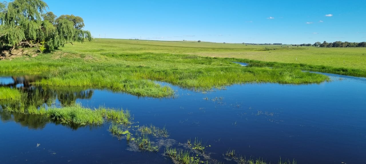 Farms for sale in Frankfort Frankfort Property