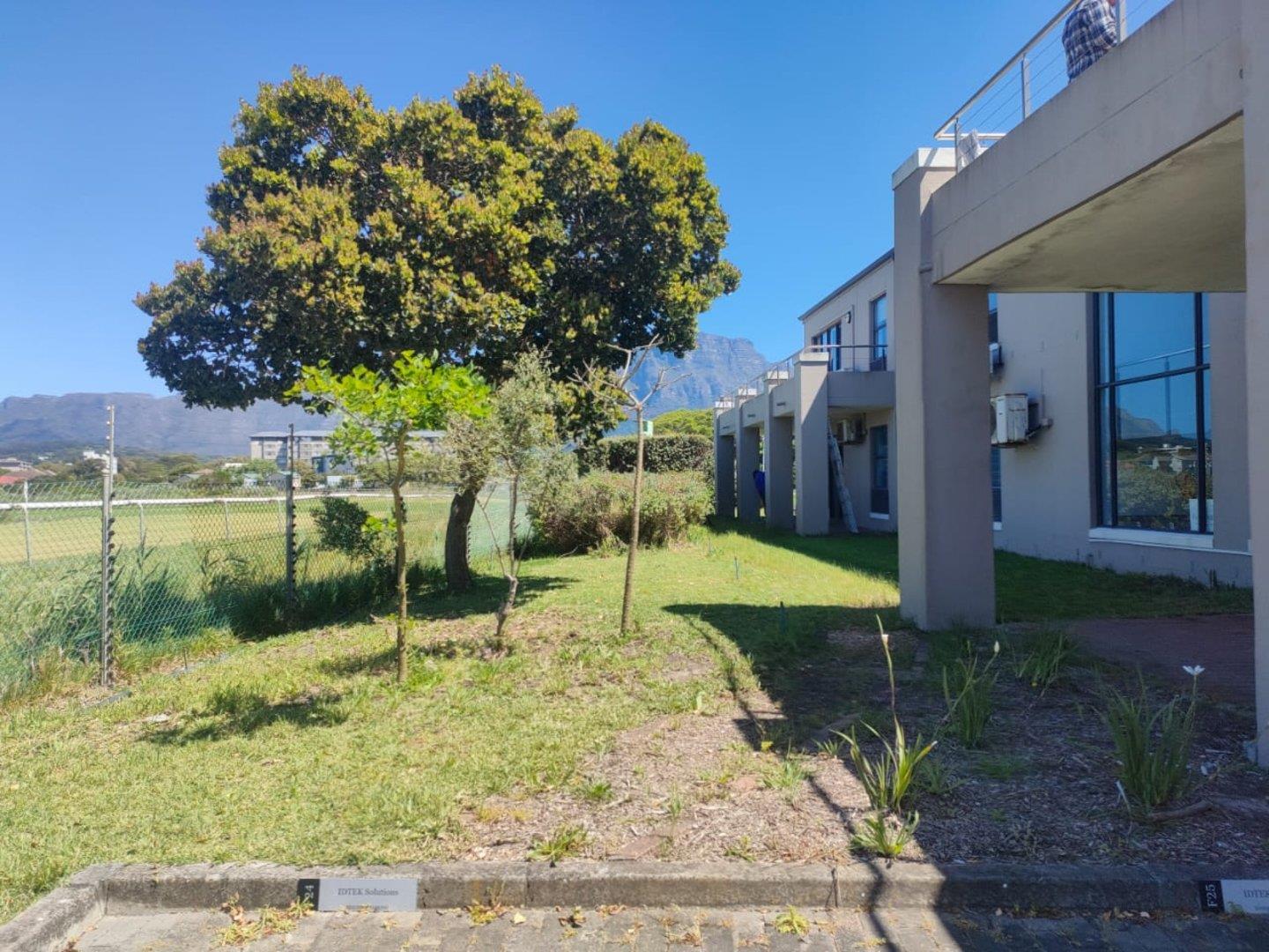 Kenilworth, Cape Town Property Commercial property to rent in