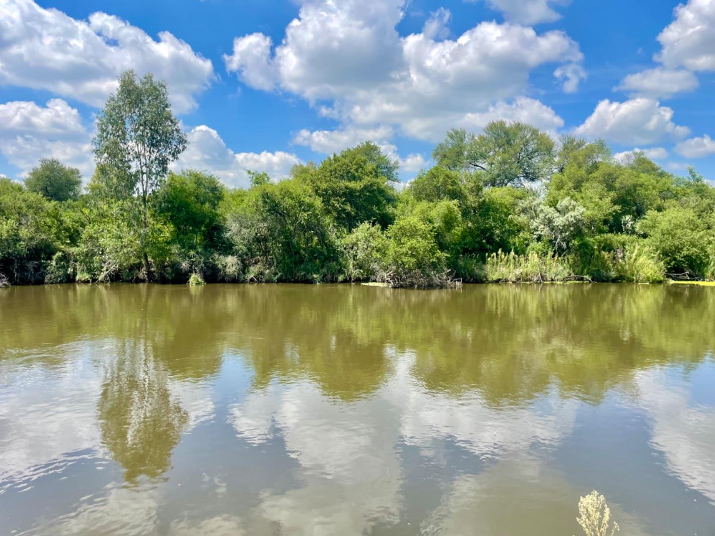 Vacant land / plot for sale in Vaal de Grace Nature Estate Erf 50