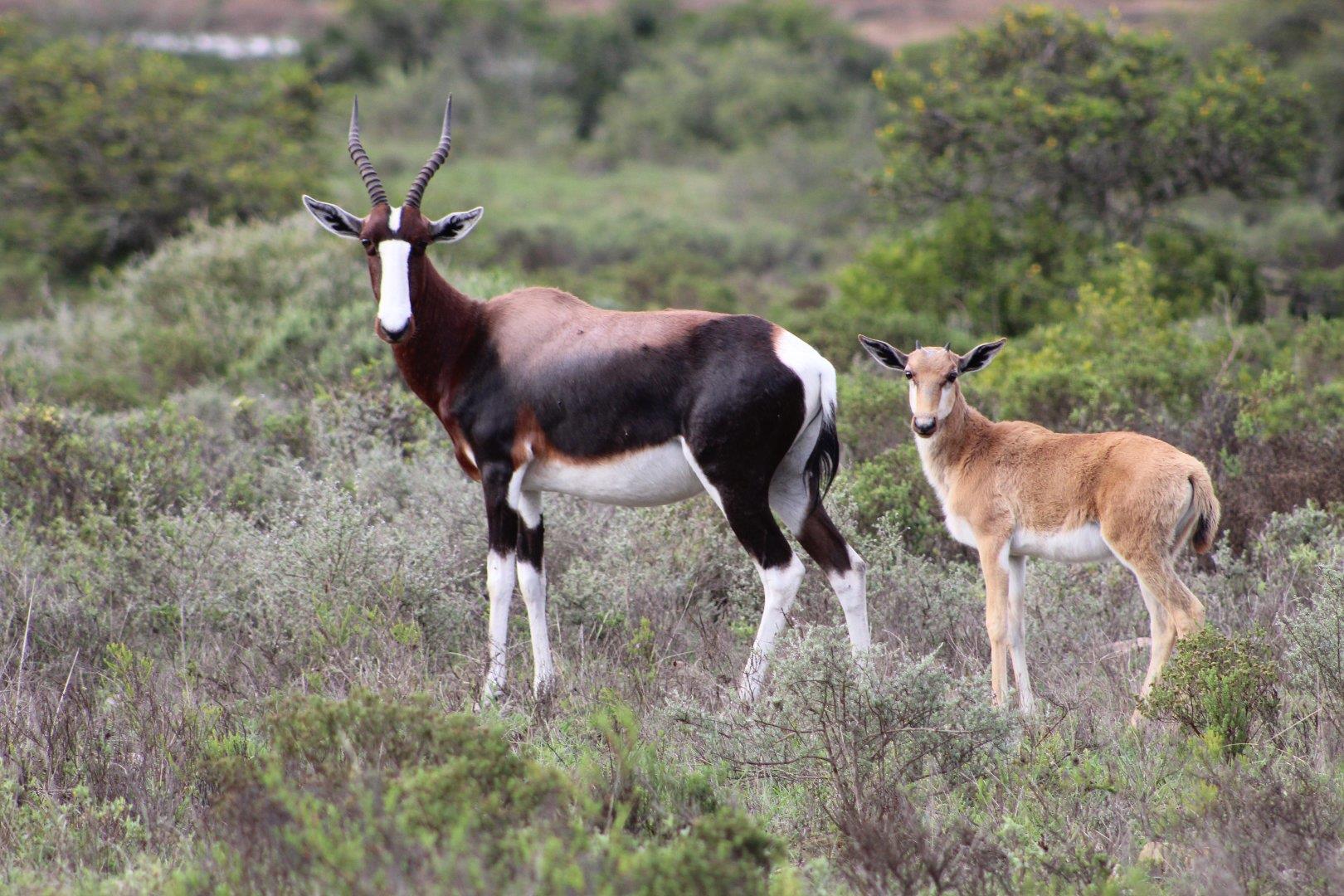 Monte Christo Property Property and houses for sale in Monte Christo