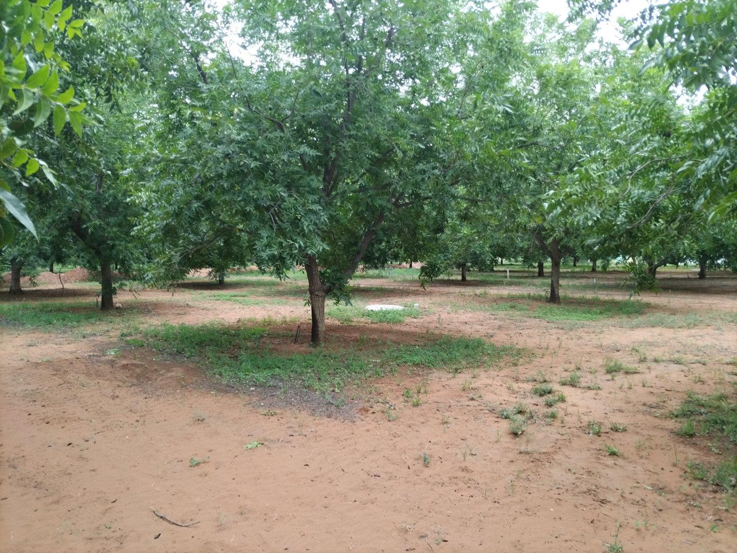 Property for sale in Northern Cape Vacant land / plots for sale in