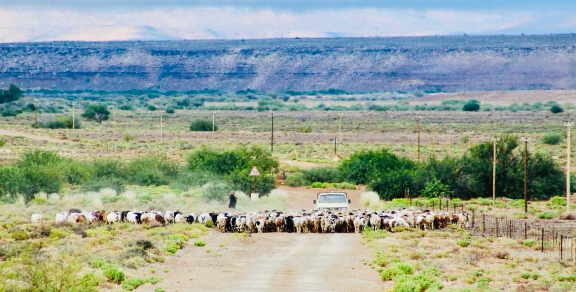 Property and houses for sale in Calvinia Calvinia Property