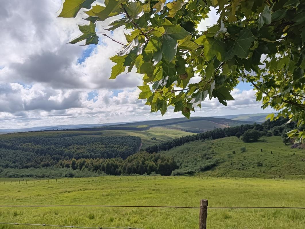 Greytown Rural Property Property and houses for sale in Greytown