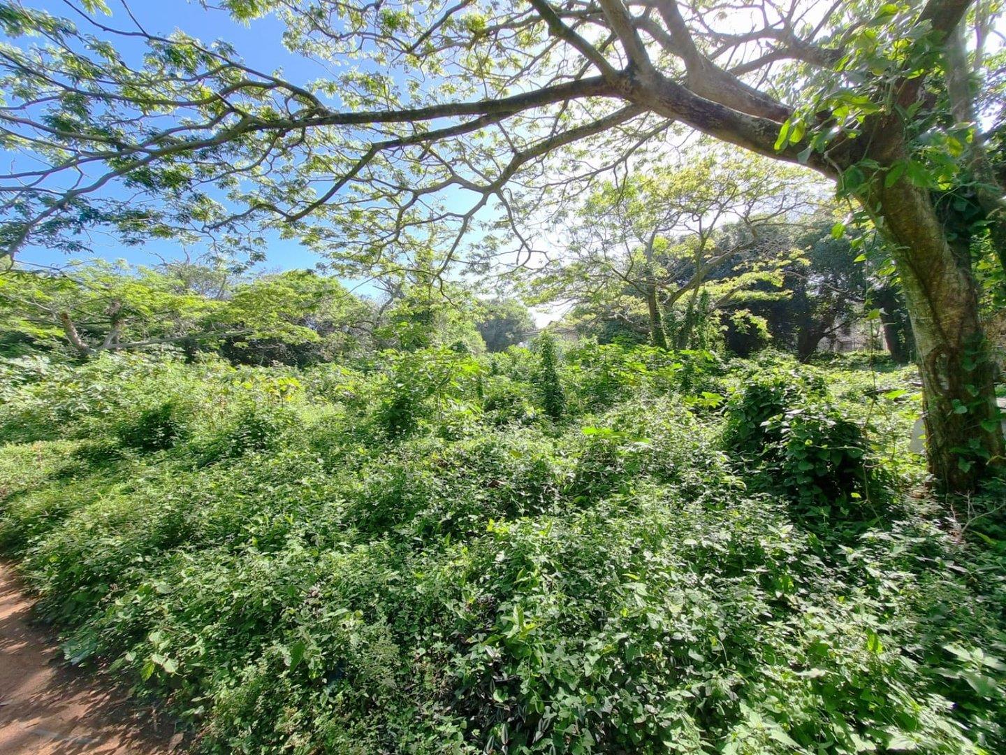 Vacant land / plot for sale in Illovo Beach P24113934633