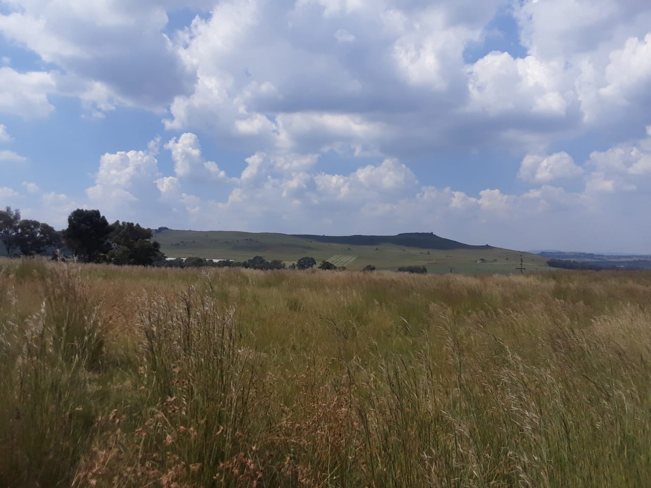 Johannesburg South Property Vacant land / plot for sale in